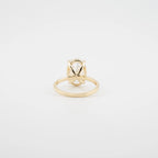 Oval Hidden Halo Lab Diamond Engagement Ring