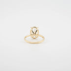 Oval Hidden Halo Lab Diamond Engagement Ring - Francis Parwal
