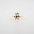 Oval Hidden Halo Lab Diamond Engagement Ring - Francis Parwal
