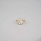 Oval Lab Diamond Engagement Ring - Francis Parwal